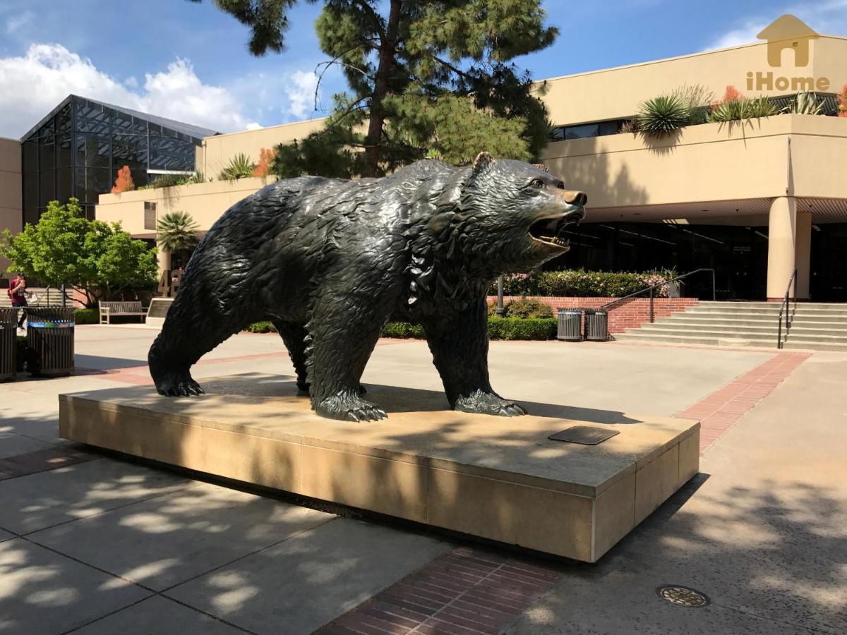 Perfect Apt Near Ucla W Parking Gym Pool Wifi In Westwood B3 Los Angeles Exteriör bild